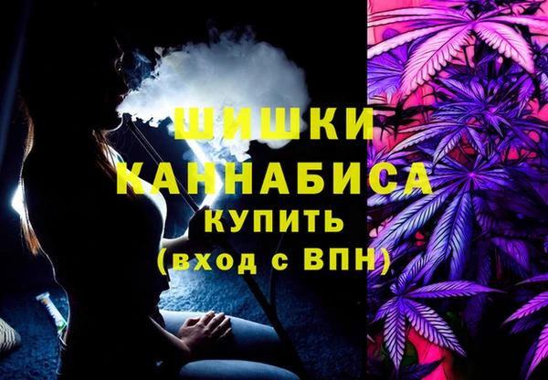 сатива Алагир