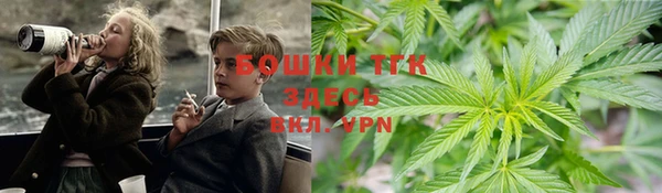 сатива Алагир