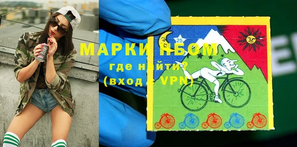 сатива Алагир