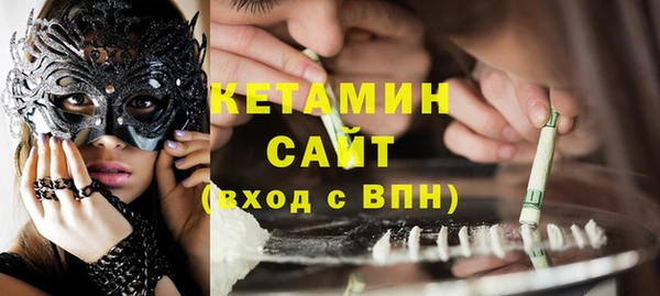 сатива Алагир