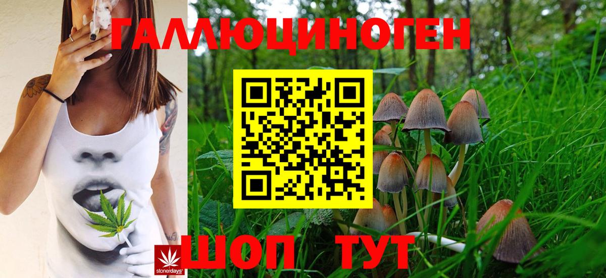 Галлюциногенные грибы мухоморы Аша