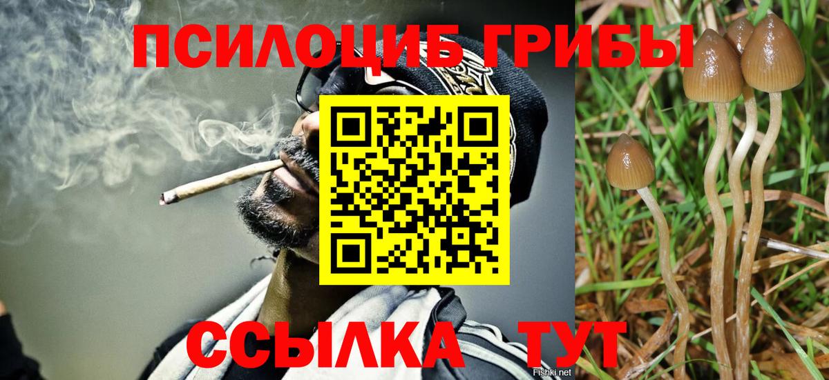 Галлюциногенные грибы Psilocybine cubensis Аша