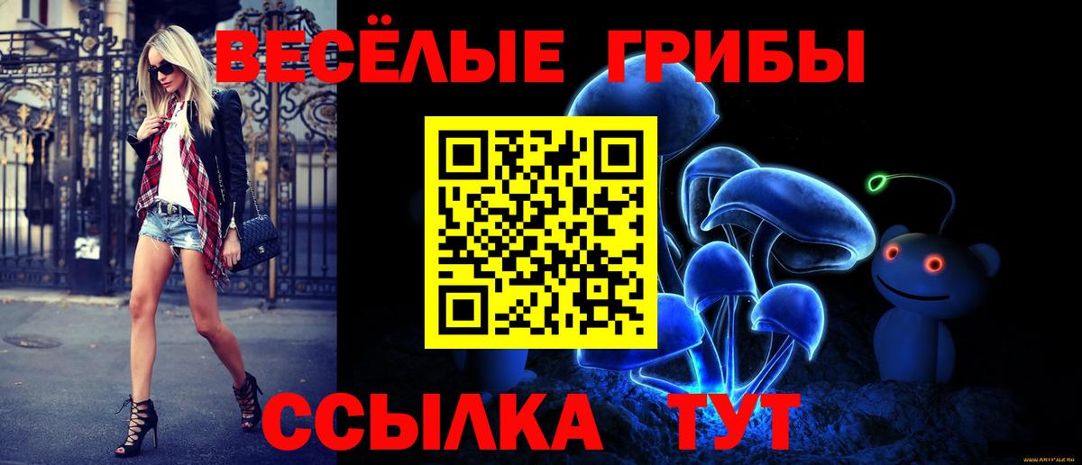 Псилоцибиновые грибы Magic Shrooms  Аша  Псилоцибиновые грибы Psilocybe 