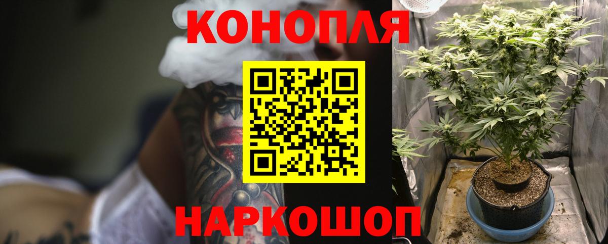 Конопля OG Kush  Конопля план  Бошки Шишки THC 21%  Аша 