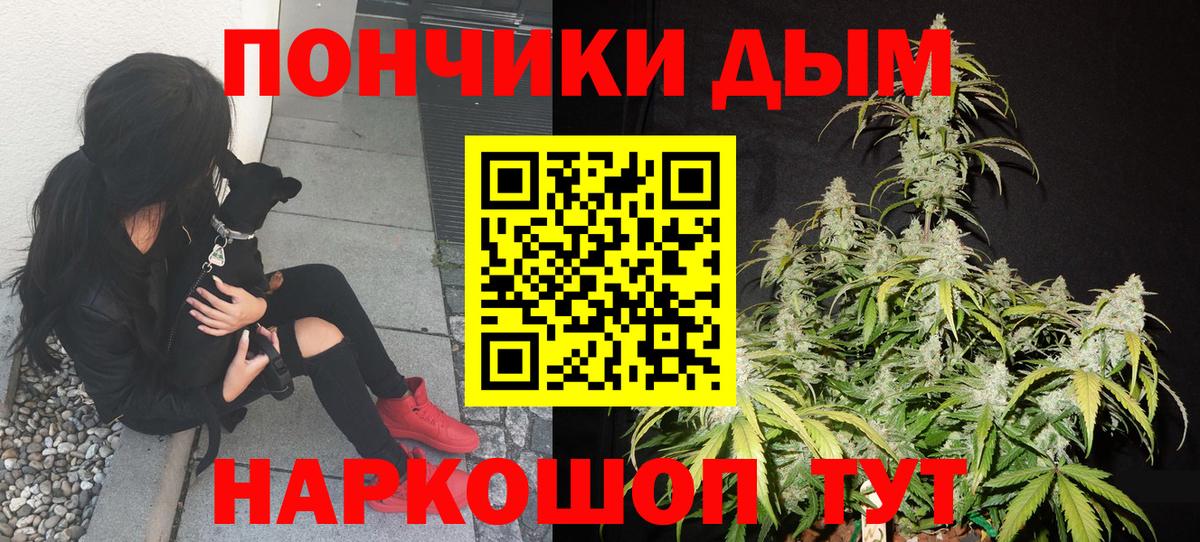 Аша  Бошки Шишки сатива  Марихуана тримм  Вход с VPN  Бошки Шишки OG Kush  Бошки марихуана VHQ 